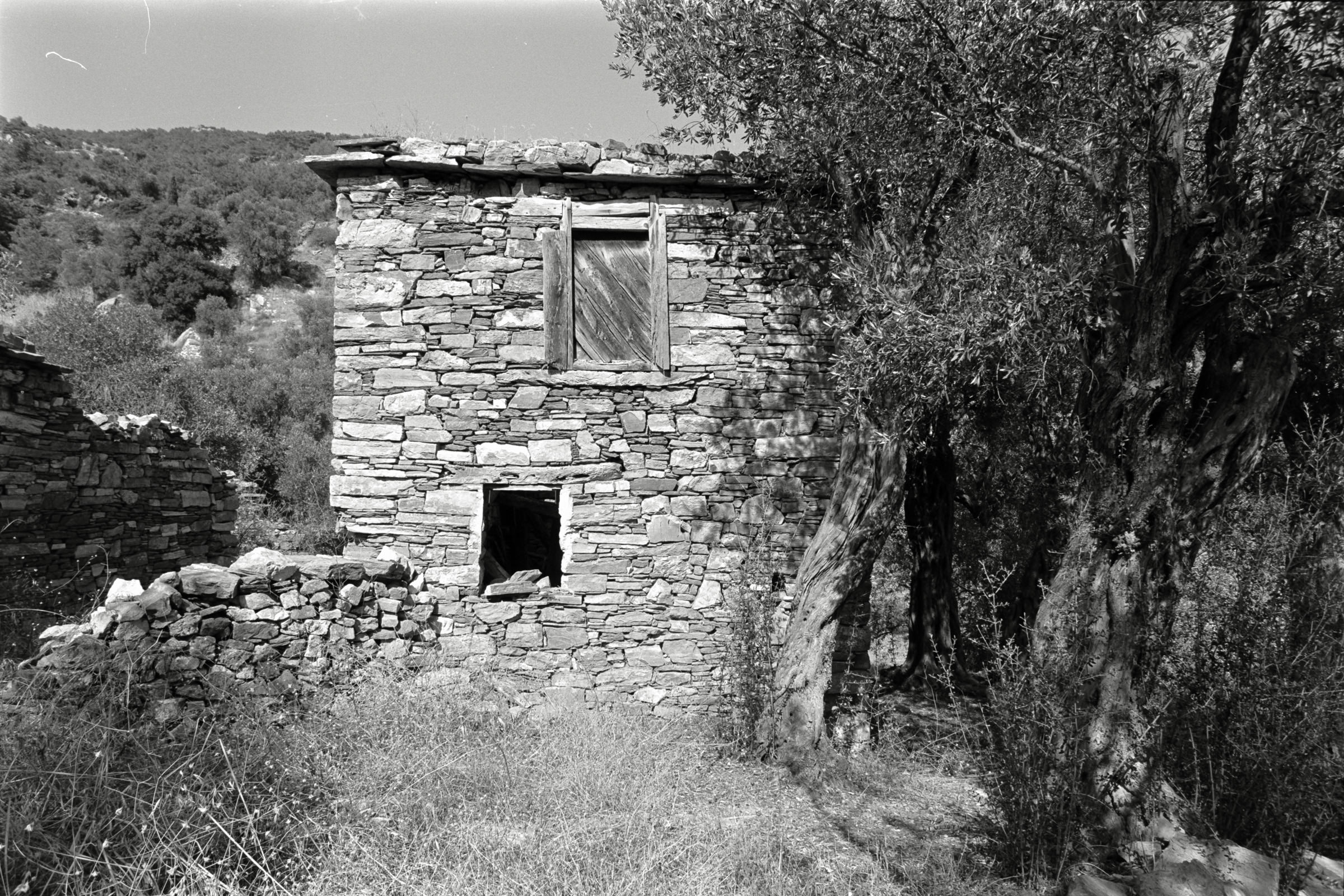 AHP F1991 09 003 sc240914 img18 NLP